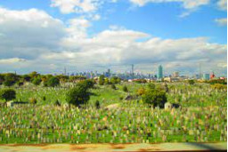 vignette pour la végétalisation