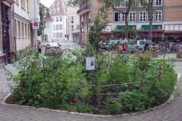 vignette pour la végétalisation